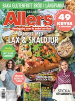 Allers SE